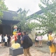 惠山映月里開出首家美術館