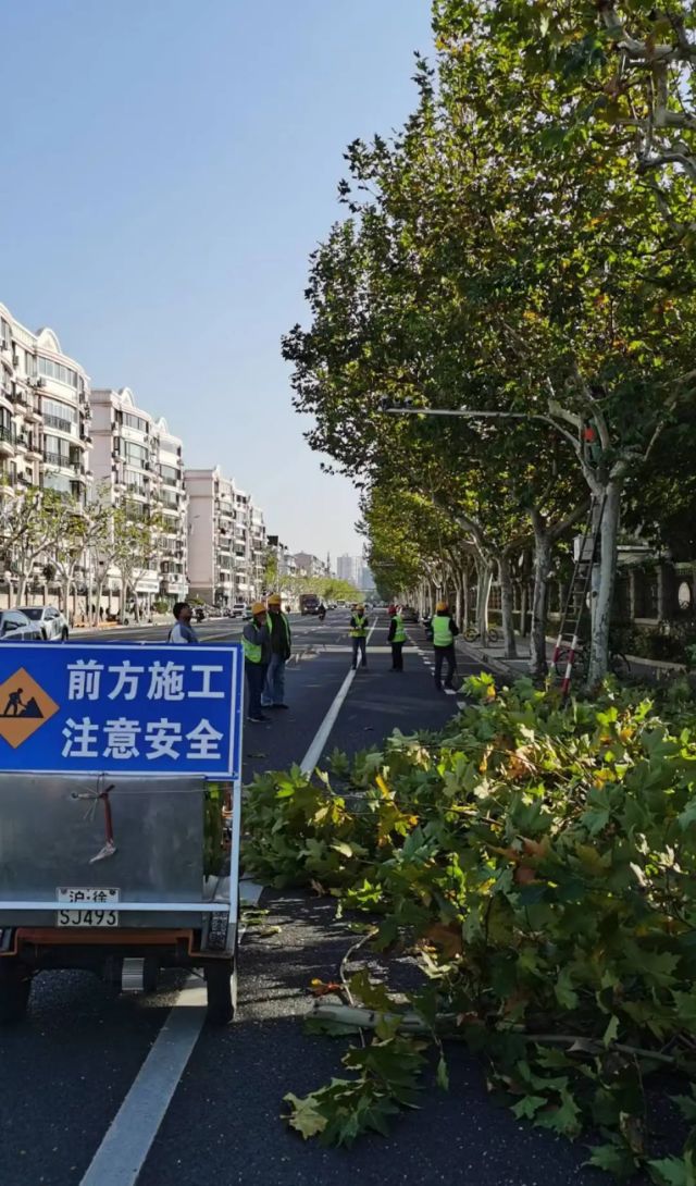 微信圖片_2025-08-20_141817_042.png