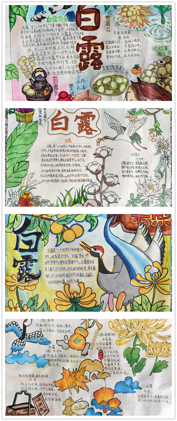 手抄報(bào)