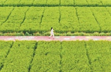 一二三產(chǎn)業(yè)融合，“工業(yè)村”刮起“田園風”