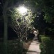 小路燈照亮“幸福路” 丁香家園居民走夜路不用再“摸黑”了