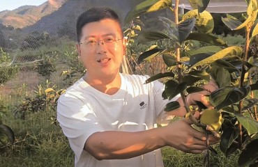 新農(nóng)人黃海劍的甜蜜“柿”業(yè)