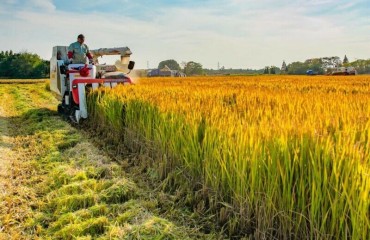 凤台县全力保障秋粮丰收归仓