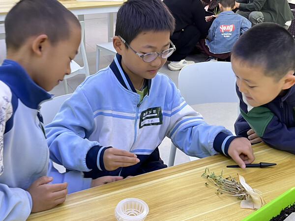 微信图片_20251020164043_612_20_副本