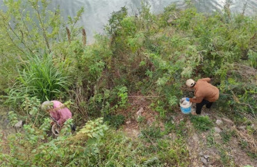 南屏村：守护新安江共美一江水