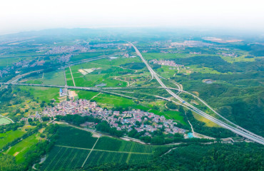 深耕“三农”沃土 田畴孕育希望— —东至县“十四五”期间农业高质量发展纪实