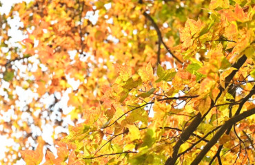 海拔千米山村別樣色彩畫(huà)卷