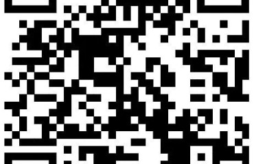 丽水启动千名 寒假志愿者招募工作