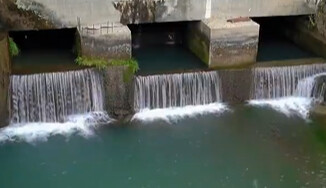 景宁水电站白天为何停机“静音”？为了这群“小精灵”