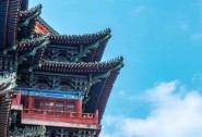 张钟爱口述历史——16岁师从谢昌仁，孜孜以求，效如桴鼓