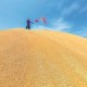 夏收在即，江苏如何打好粮食丰收“第一仗”？