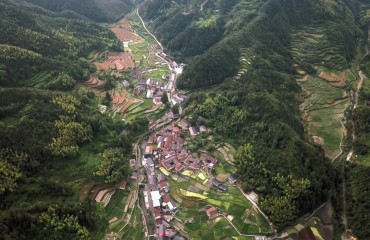 浙江麗水?dāng)y手鄉(xiāng)村“CEO”激活山水共富新引擎