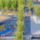 政府透明度，安徽何以稳居全国第一方阵？