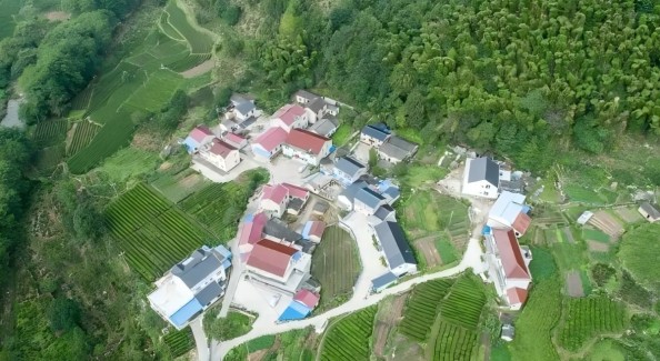民宿赋能 让山水乡愁“触手可及”