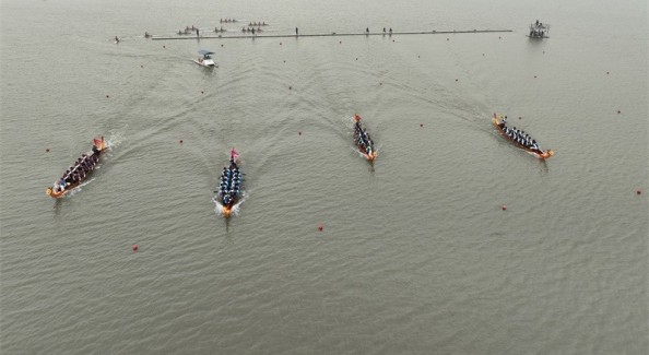 江苏兴化：龙舟竞渡迎端午 非遗雅韵润水乡