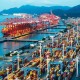 美企抢购潮引发运力短缺海运费上涨 浙企携手应对出货高峰