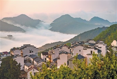 百照村：半山晓晨光 云海沁花香