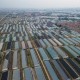 多家外资机构同步调高中国经济预期，研报中都提到这个词