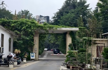 南京玄武：尋常巷陌間孕育科創(chuàng)活力