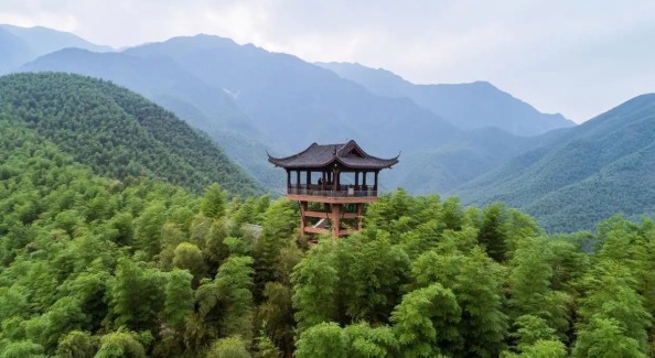 美丽乡村涨了“国际粉” 安吉创新发展入境旅游