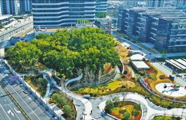 麗水城市建設(shè)項(xiàng)目為古樹讓路，保留地建成公園