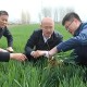 安徽濉溪小麥種植戶：有了高標(biāo)準(zhǔn)農(nóng)田，畝均純利增六成