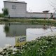 安徽：4.25億元財(cái)政資金支持農(nóng)村黑臭水體治理