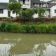 在滬蘇浙交界處打造“滬派江南”