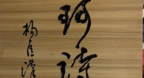 王珂诗屋超星名师讲坛“教您写新诗”暑期网校开播