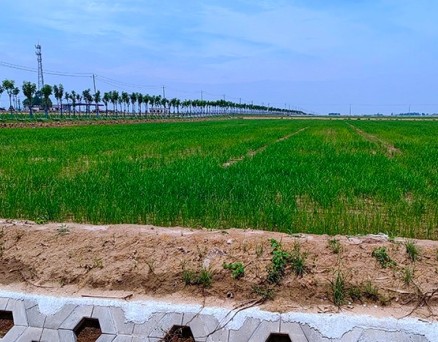 安徽“土”文章：节约集约用地 严守耕地红线