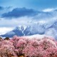 習(xí)近平回信勉勵(lì)西藏林芝市巴宜區(qū)林芝鎮(zhèn)嘎拉村全體村民