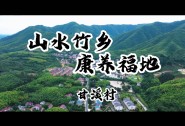 山水竹乡，康养福地-甘溪村（优秀奖）