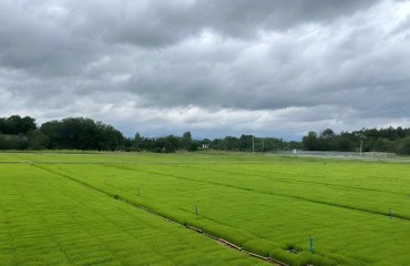 安慶桐城：打造“鋅”引擎 繪就“鋅”圖景