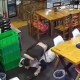 時隔近20年“大修” 新治安管理處罰法將產(chǎn)生什么影響