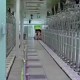 伊朗總統(tǒng)批準暫停與國際原子能機構(gòu)合作