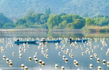 浙江德清：傳承魚(yú)蚌共生 延長(zhǎng)產(chǎn)業(yè)鏈條