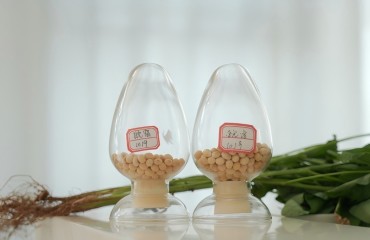 一顆宿州“好豆”的秘密