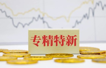 南京出臺“15條”壯大專精特新企業(yè)