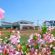 江蘇下達資金2.7億元，為新型農村集體經濟“造血賦能”