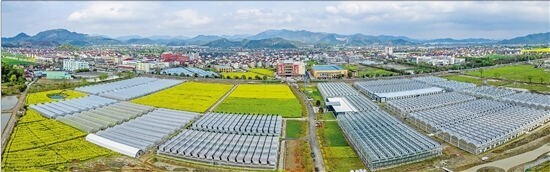 共富路上，浙企与乡村双向奔赴
