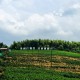 南京高淳生態(tài)價值怎樣變現(xiàn)？中國首個國際慢城這樣做
