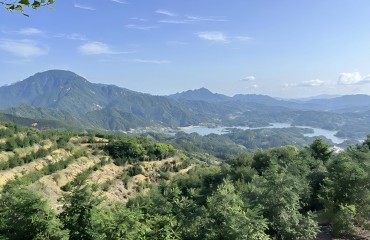 安庆：种下“摇钱树” 拓宽振兴路