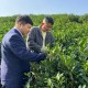 江蘇三市入選中央財(cái)政支持普惠金融發(fā)展示范區(qū)