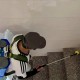 国内某地确诊超3000例！什么是基孔肯雅热？