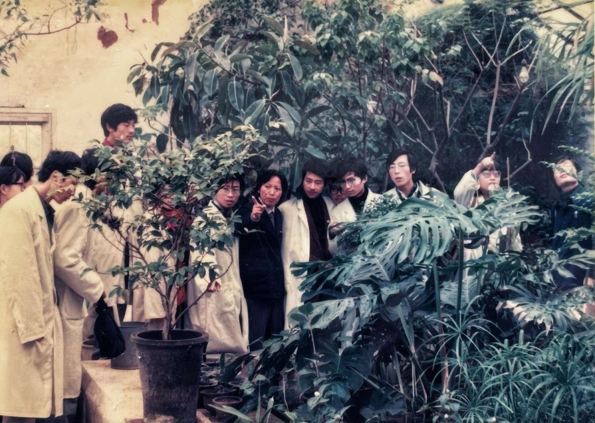 1984年，南京中醫(yī)學(xué)院82級(jí)中藥班同學(xué)在中藥學(xué)院藥物園辨別草藥。.jpg