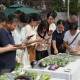 農(nóng)產(chǎn)品也有“身份證” 北京發(fā)布農(nóng)產(chǎn)品質(zhì)量安全“JN碼”
