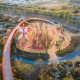 全國(guó)生態(tài)日之際，普陀這場(chǎng)展覽關(guān)注古樹(shù)保護(hù)