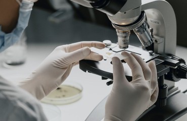 一場顯微鏡下的萬億產(chǎn)業(yè)風暴，正在南京蓄勢待發(fā)
