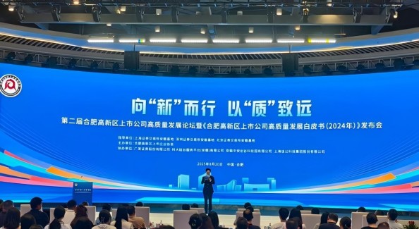合肥高新区：境内外上市公司35家，占全市40%