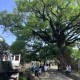 傳統(tǒng)村落如何守根留魂煥新生？江蘇這樣探索保護(hù)利用路徑